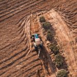 Precision Agriculture in Urban Farming: A Growing Trend