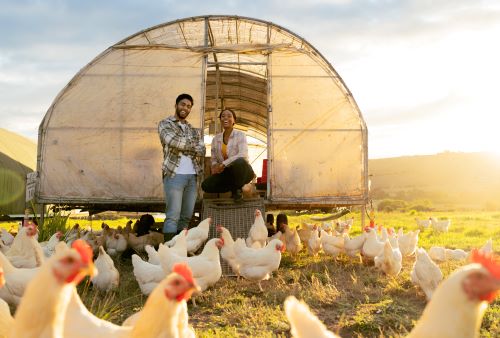 Enhancing Livestock Management with IoT: A…