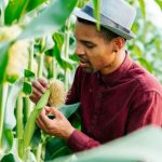 Maximizing Efficiency: The Integration of Fertigation and Precision Farming