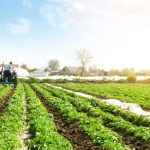Educational Initiatives in Precision Agriculture: Empowering Farmers