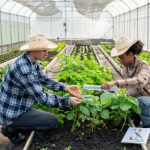Improving Crop Health: The Role of Smart Agriculture Sensors