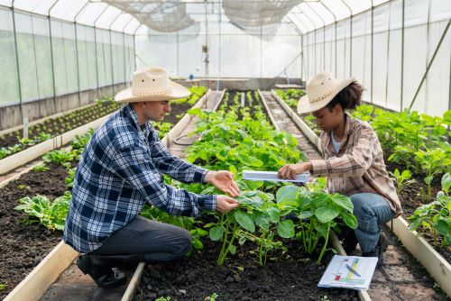 Improving Crop Health: The Role of Smart Agriculture Sensors