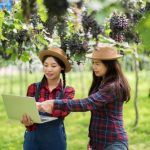 Digital Transformation in Agriculture: A Zeptogreens Perspective