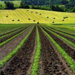 Data-Driven Decision Making: A Guide for Farmers