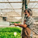 Biophilic Design in CEA Facilities