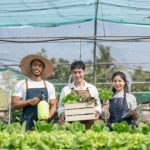 Integrating Renewable Energy in CEA
