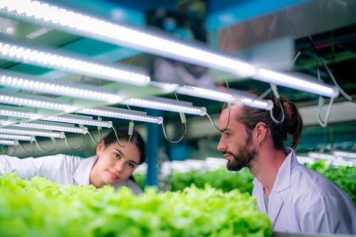 The Future of Food: CEA and Sustainability