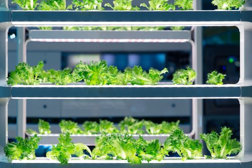 Innovations in Vertical Farming Systems