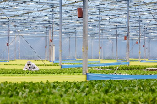 Carbon Footprint Reduction in CEA