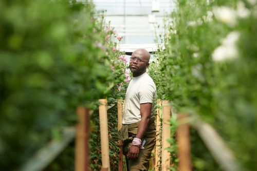 Vertical Farming Towers: Space-Saving Marvels
