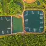 CEA and Water-Efficient Agriculture