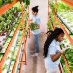 Future-Proofing Agriculture with CEA