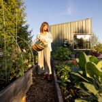 Urban Agriculture: CEA Solutions