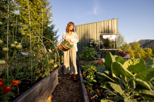 Urban Agriculture: CEA Solutions