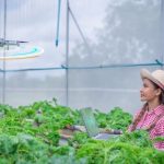 AI and Robotics Collaboration in CEA