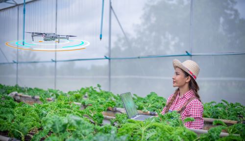 AI and Robotics Collaboration in CEA