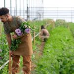 Regenerative Agriculture with CEA