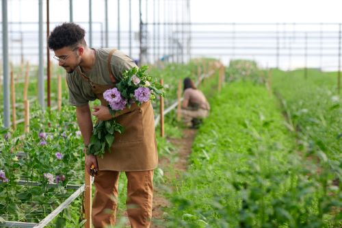 Regenerative Agriculture with CEA