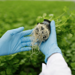 Precision Fertilization