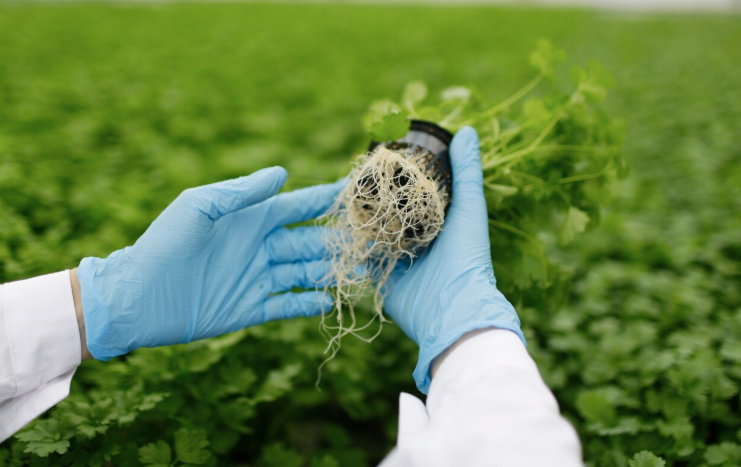 Precision Fertilization