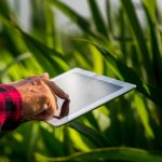 Crop Monitoring