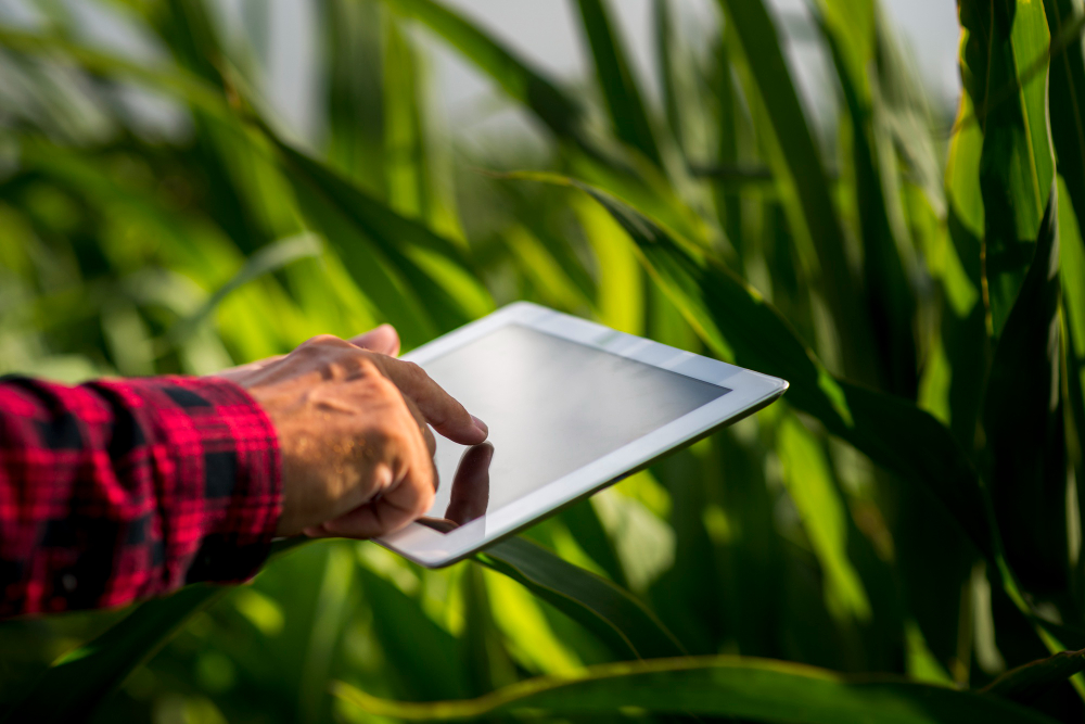Crop Monitoring