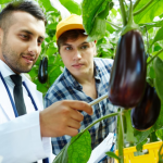 Food Security
