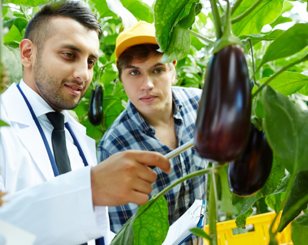 Food Security