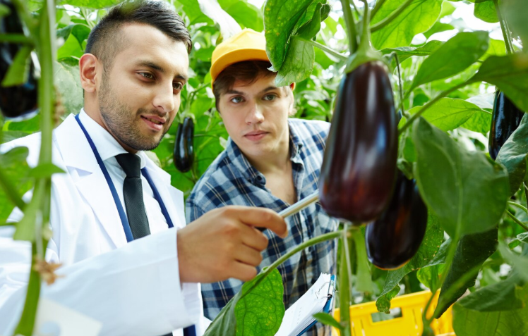 Food Security