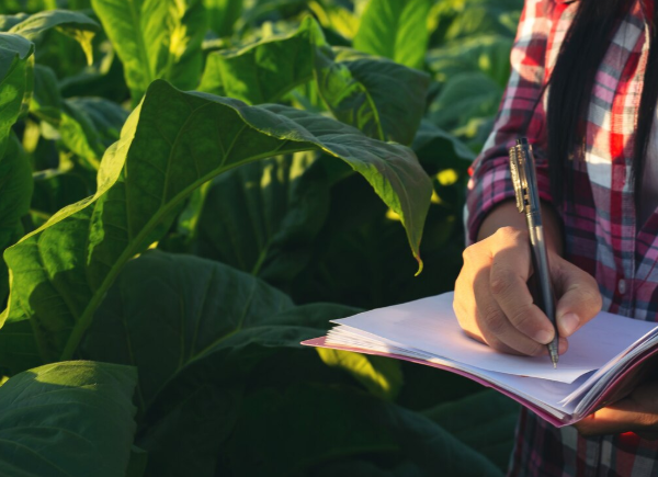 Precision Agtech
