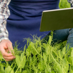 Precision Agriculture