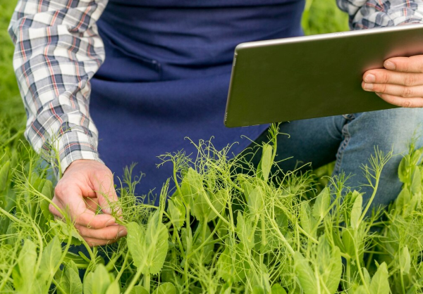 Precision Agriculture