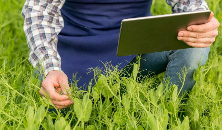 Precision Agriculture
