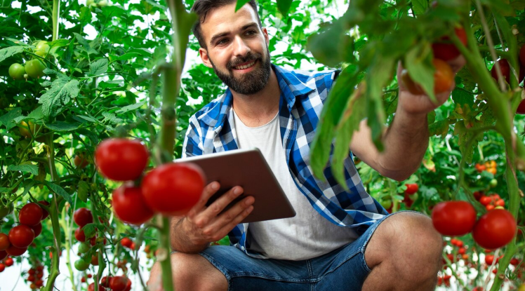 Farm Management