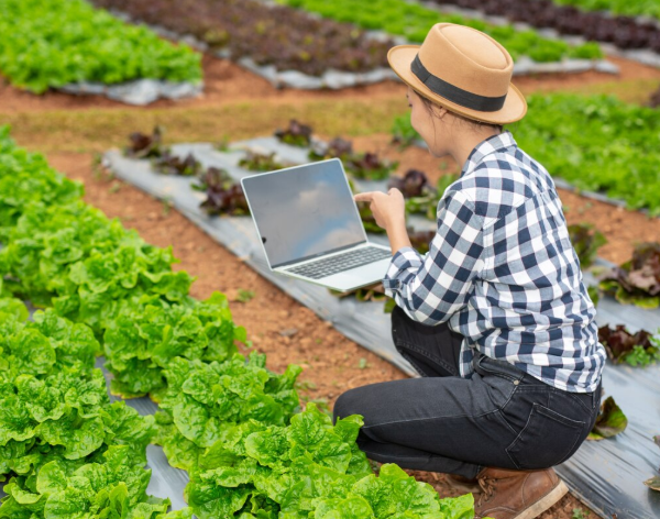 Precision Agriculture