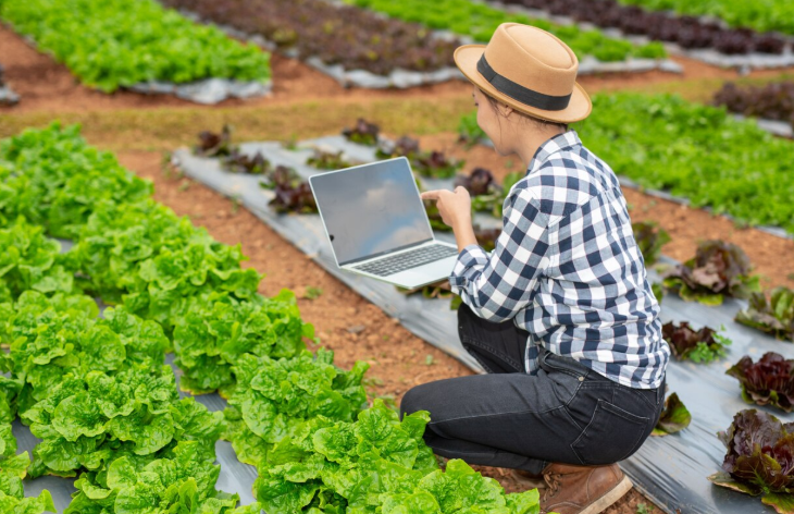 Precision Agriculture