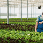 Crop Management