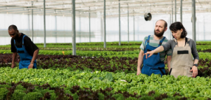 Crop Management