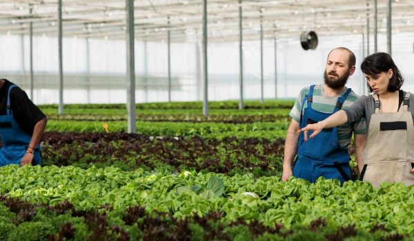 Crop Management