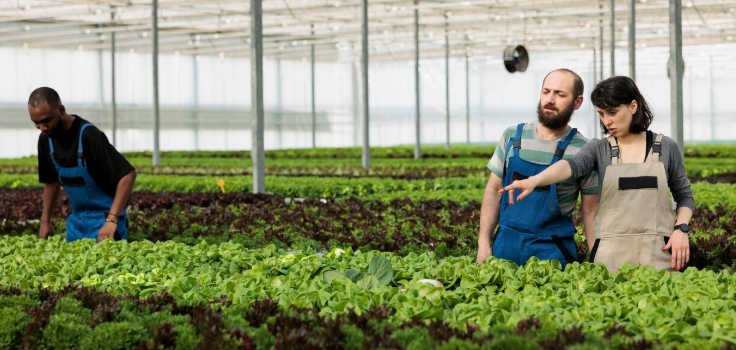Crop Management