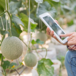 Automation in Agriculture