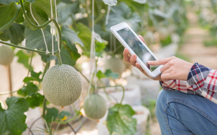 Automation in Agriculture