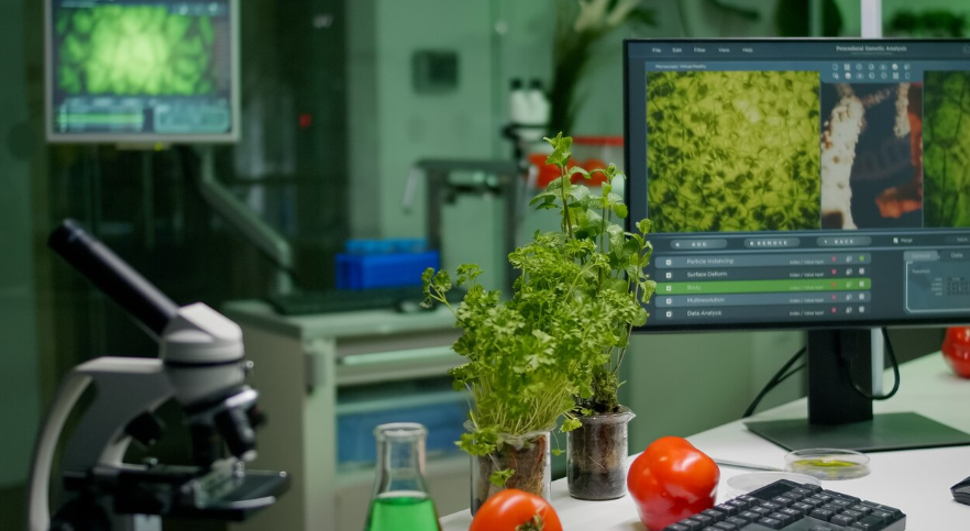 precision farming