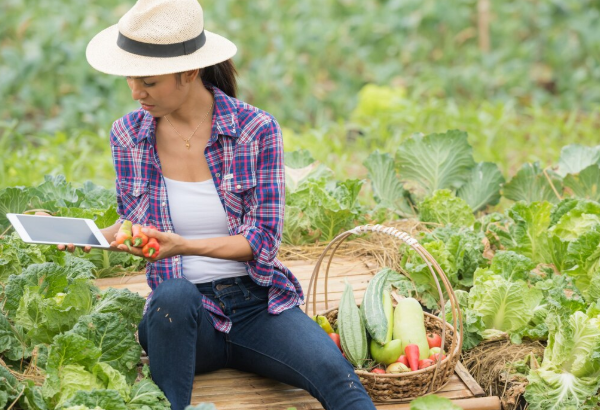 precision farming