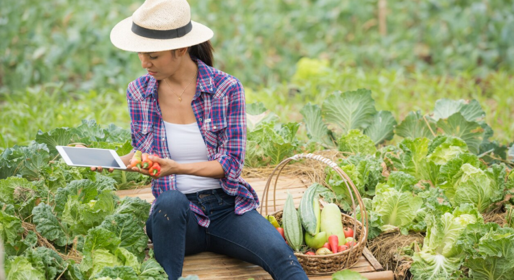 precision farming