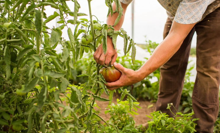 Agricultural Practices