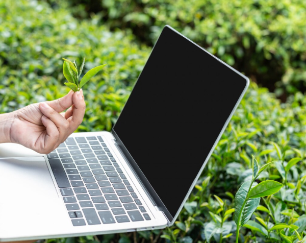 data-driven agriculture