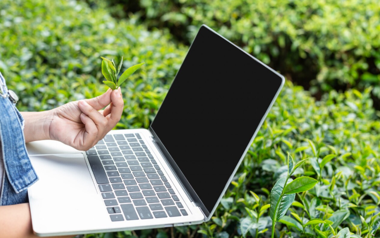 data-driven agriculture