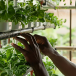 Precision Farming