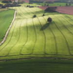 Future Landscape of Agriculture